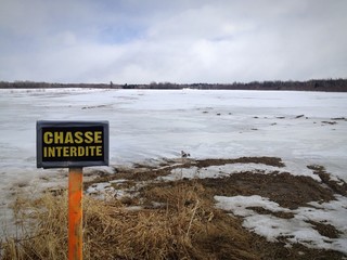 chasse interdite