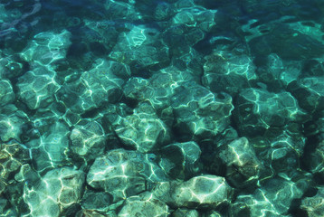sea bottom