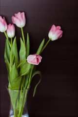 A beautiful bouquet of pink tulips in a vase on black background