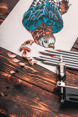 beautiful sketch drawing of a parrot with colored pencils lying on old wooden background