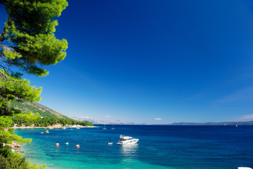 Beautiful Summer Adriatic Sea coastline view with pine tree and yacht, island Brac, Croatia