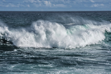 Fototapeta premium wielka fala morska