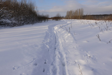 Naklejka premium Road in snow in cold winter day