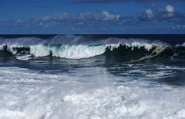 Fototapeta premium big sea wave