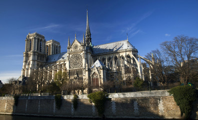 Fototapeta na wymiar The Cathedral of Notre Dame