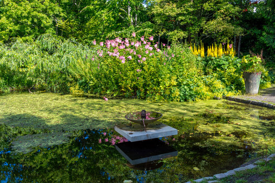 En liten charmig damm p&aring; Djurg&aring;rden.