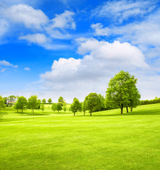Golf course landscape. Spring field green grass blue sky