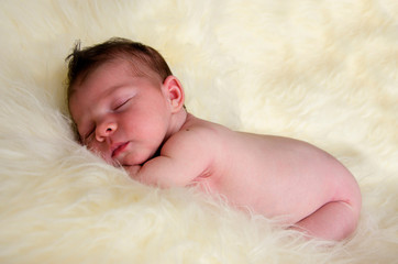 newborn baby sleeping