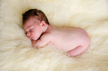 newborn baby sleeping