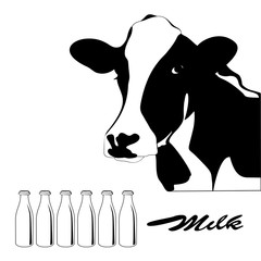Portrait big black and white cow vector