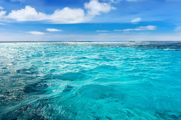 Caribbean sea bottom with blue water wave background