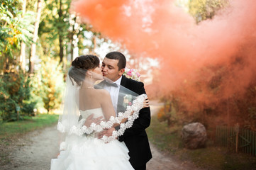 Elegant young happy wedding couple is sitting at green grass on