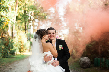 Elegant young happy wedding couple is sitting at green grass on