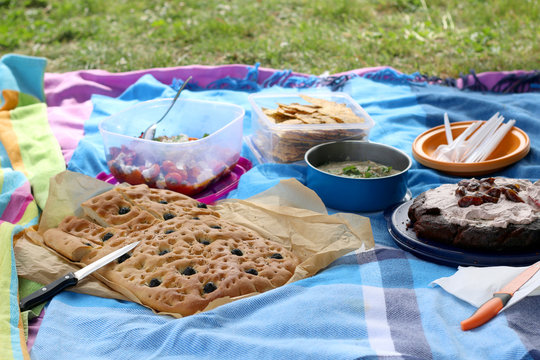 Various picnic food: vegetable and feta salad, baba ghanoush, gluten-free crackers, olive bread and date chocolate cake. Selective focus. 