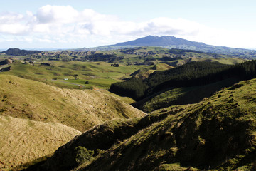 Fototapeta na wymiar New Zealand