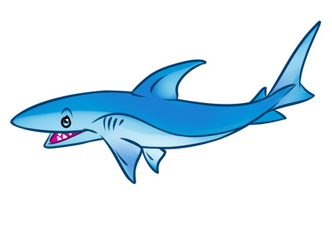 Reef shark predatory fish cartoon illustration isolated image animal character
