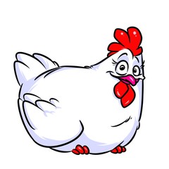 White chicken cartoon illustration isolated image animal character 