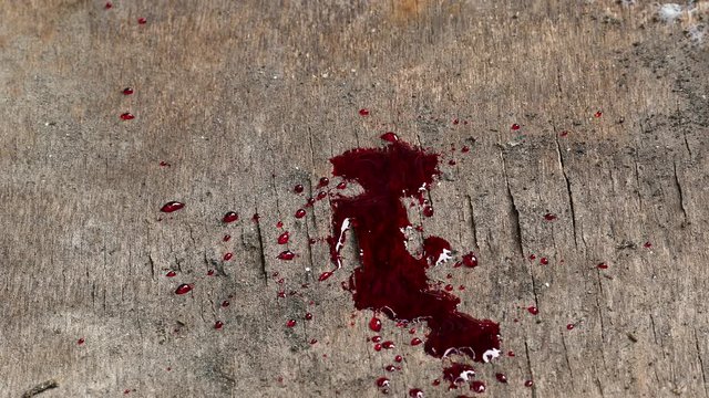 Drops of blood on the floor