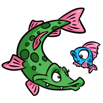 Pike fish cartoon illustration isolated image animal character 