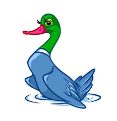 Bird Duck cartoon illustration isolated image animal character 