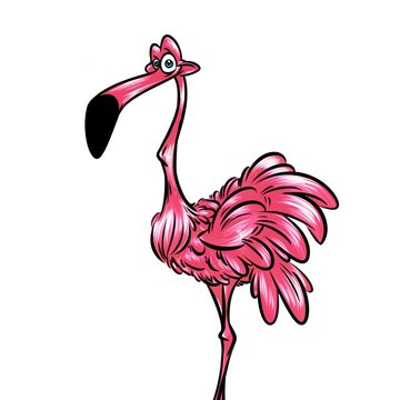 Pink flamingo bird cartoon illustration isolated image animal character 