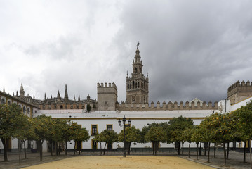 Fototapeta na wymiar Patio de los naranjos de Sevilla con la Giralda de fondo