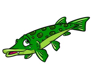 Fish pike cartoon illustration isolated image animal character 