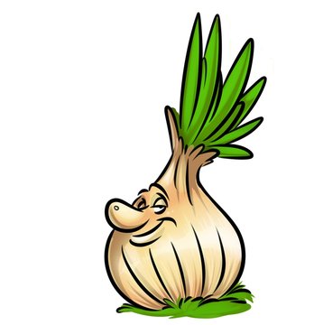 Onion complacent cartoon illustration isolated image  character 