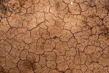 Dry soil closeup