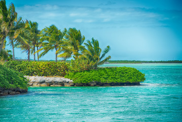 beautiful beach and ocean scenes in florida keys