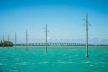 tranquil nature in florida keys