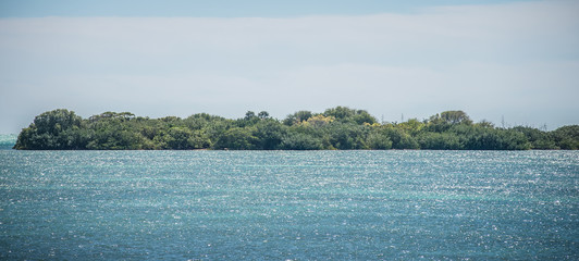 tranquil nature in florida keys