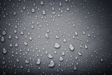 Dops of water on a color background. Gray. Toned