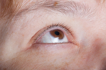 Obraz premium Close up portrait of woman