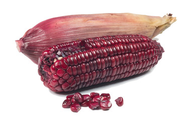 purple corn cob on white background
