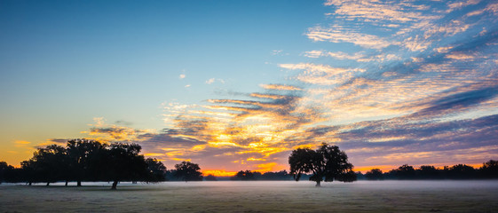 abstract sunrise landscape on the farm in florida © digidreamgrafix