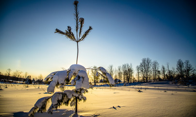 Fototapeta na wymiar Rural Winter Landscape View