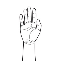 Hand Drawing
