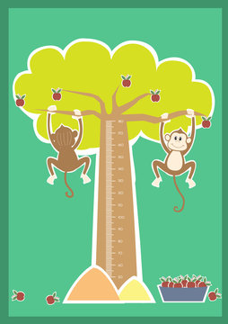 Monkey cartoons ,Meter wall or height meter from 50 to 180 centimeter,Vector illustrations