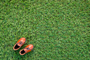 toy leather shoe on grass field