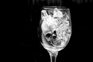 Still life with Skull in a glass of wine with ice.