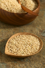 Raw brown or wholegrain rice kernels on small plate with a bowl in the back, photographed on slate with natural light (Selective Focus, Focus one third into the rice on the plate)