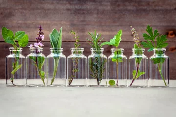 Wall murals Best sellers in the kitchen Bottle of essential oil with herbs holy basil flower, basil flow