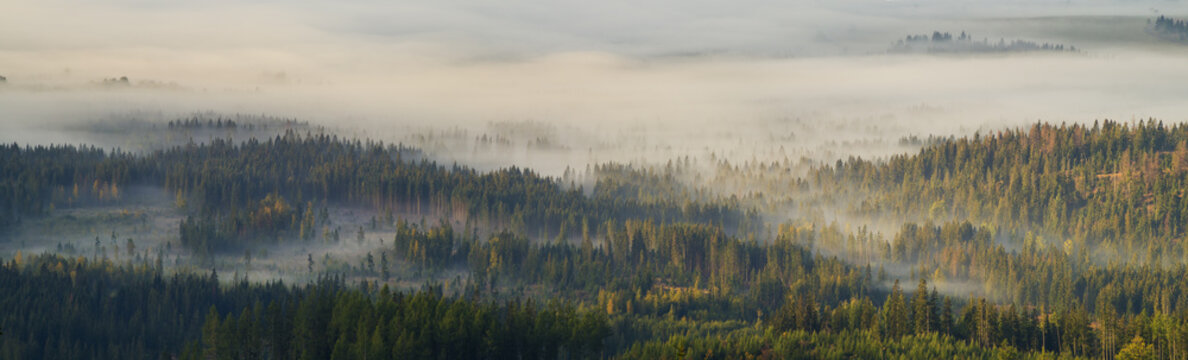 Dolina górska spowita poranną mgłą © Mike Mareen