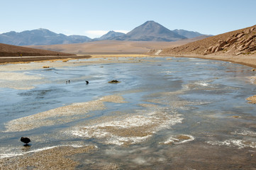 Vado Putana Altiplano - Atacama Region - Chile