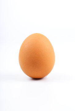 One brown egg on white background