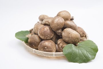 山盛りのしいたけ　ハスの葉を添えて