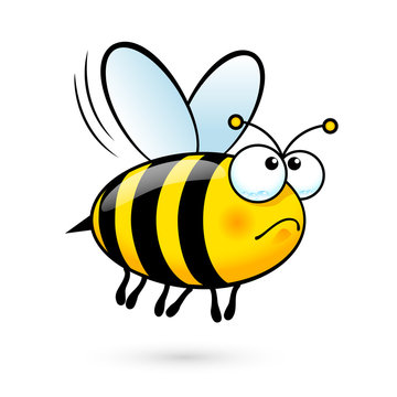 Cartoon Bee