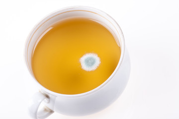 mold drink in a cup on white background