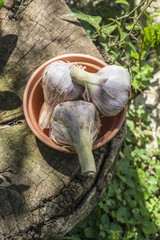 Fresh garlic in a bowl